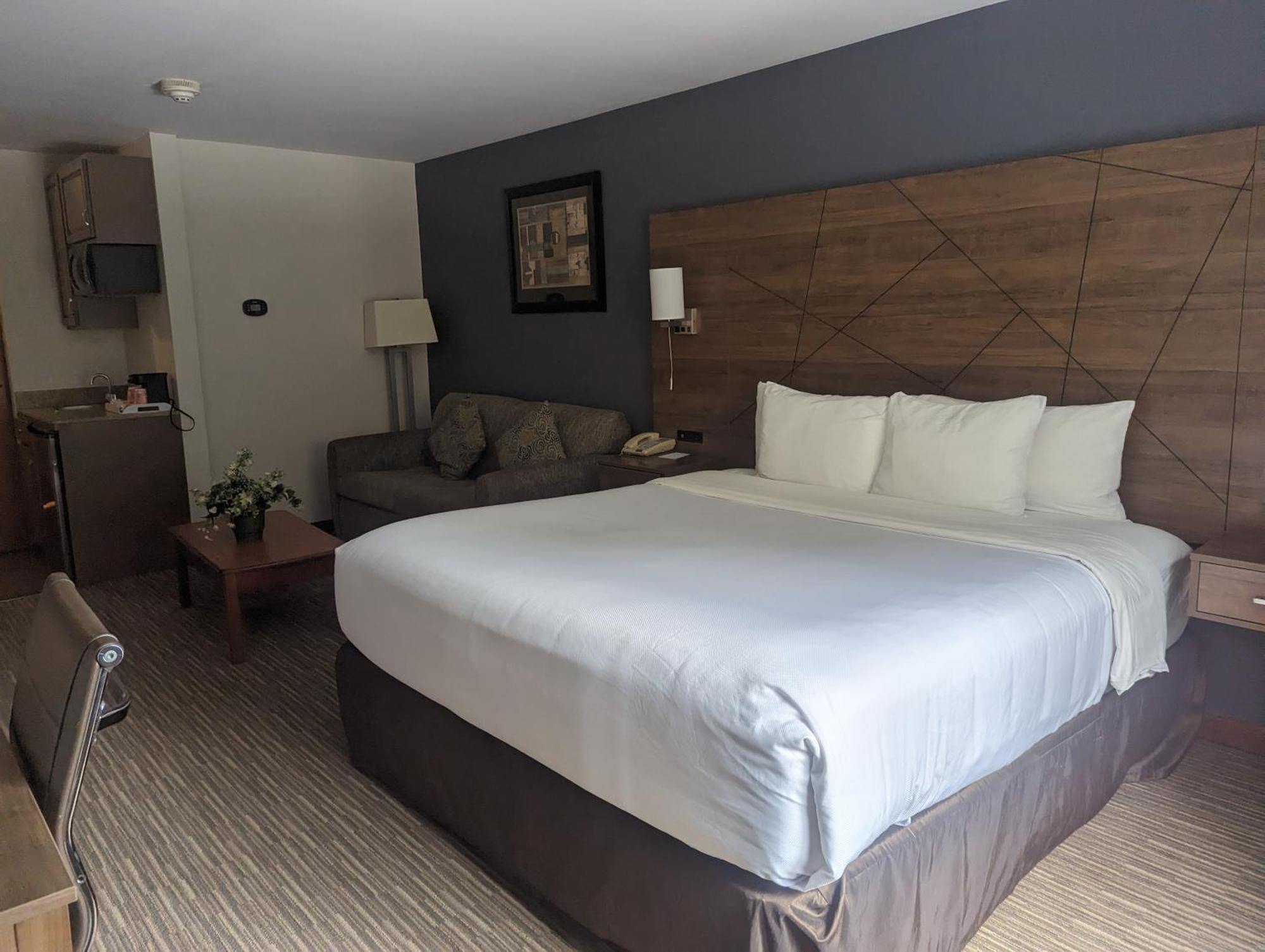 Quality Inn & Suites Northampton - Amherst Buitenkant foto