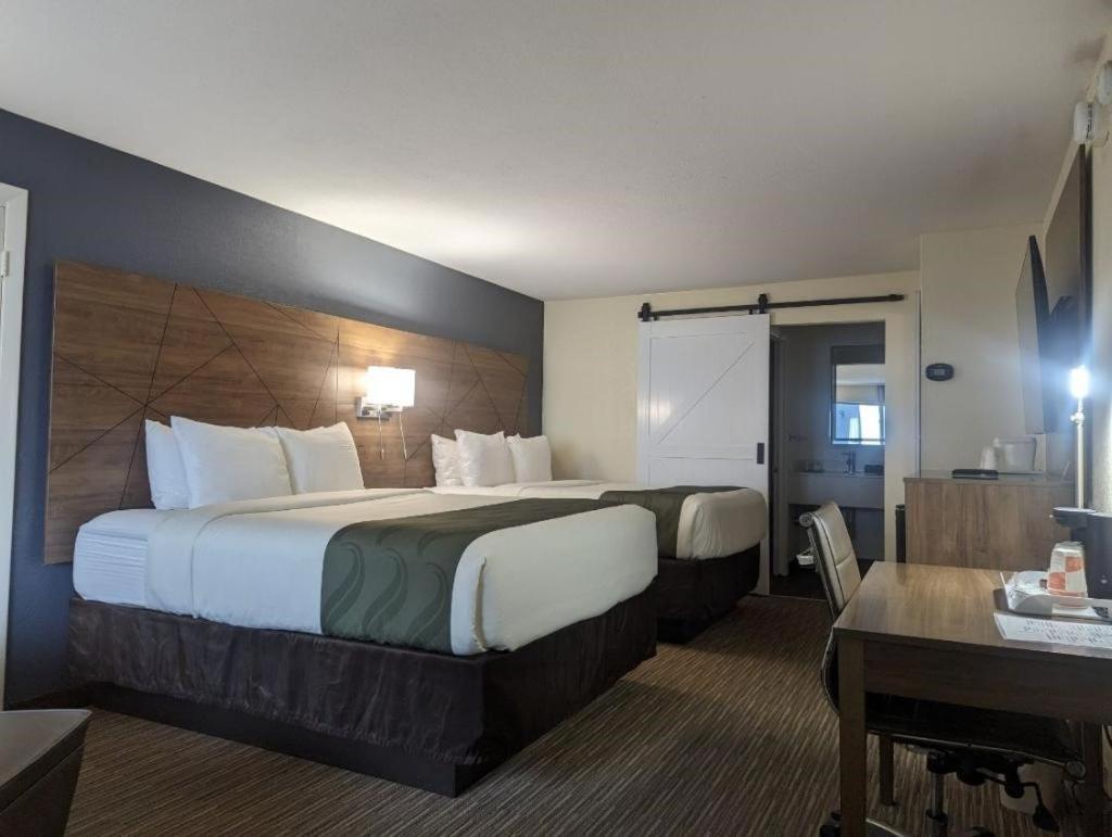 Quality Inn & Suites Northampton - Amherst Buitenkant foto