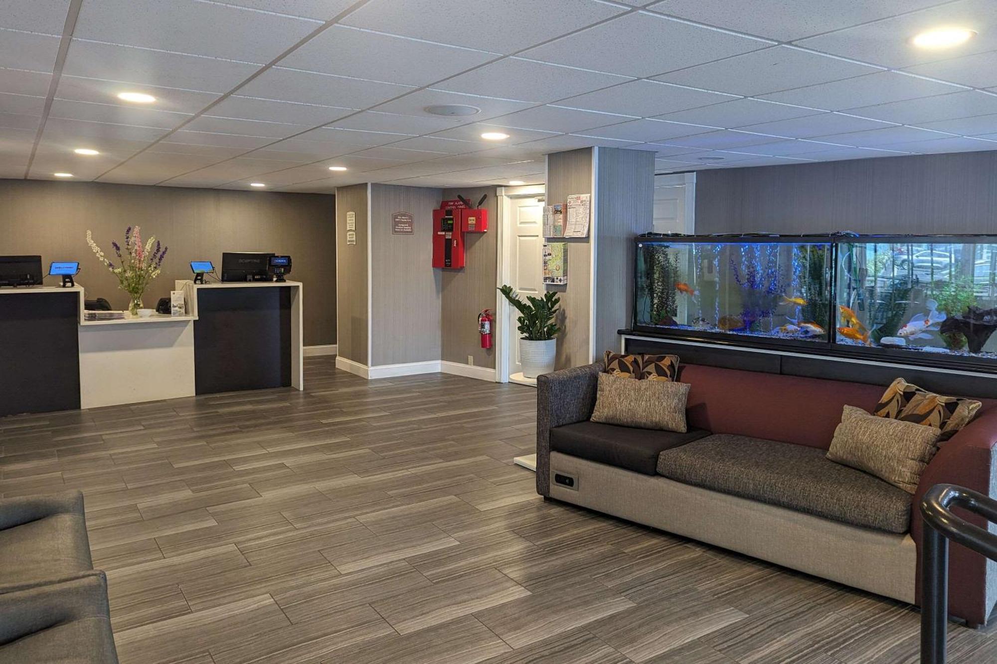 Quality Inn & Suites Northampton - Amherst Buitenkant foto